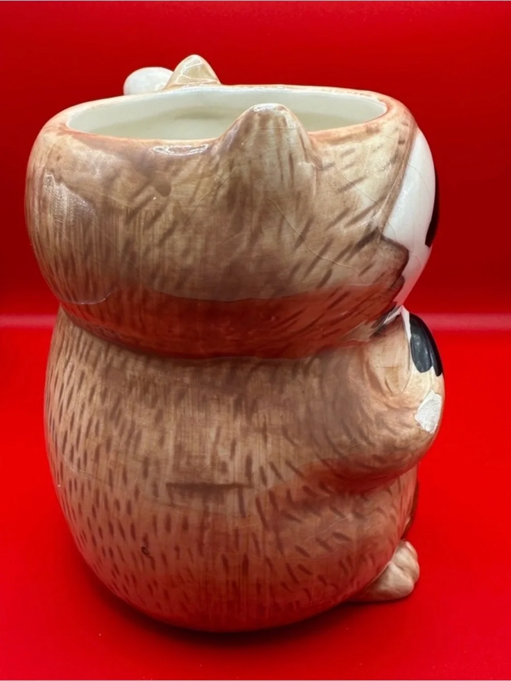 Cute Brown and White Raccoon Ceramic Pet-Themed Mug- small chip shown in pic
